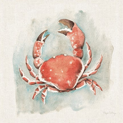 Framed Coastal Mist Crab Print