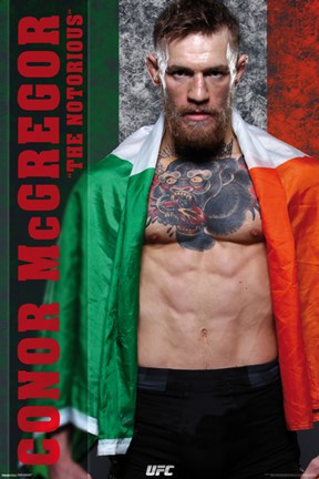 Framed UFC - Conor McGregor Print