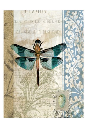 Framed Dragonfly Blue Print