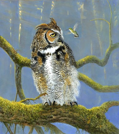 Framed Fearless Owl Print