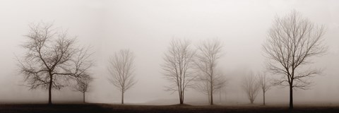 Framed Misty Meadow Print