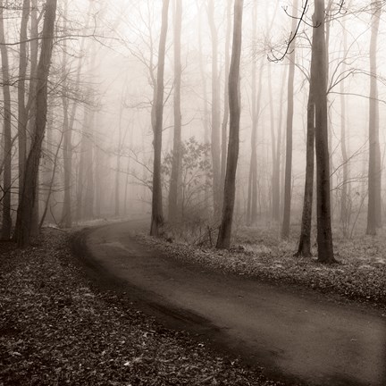 Framed Misty Lane Print