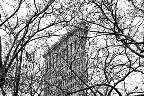 Framed Veiled Flatiron Building (b/w) Print