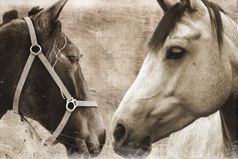 Framed Horse Pair Print