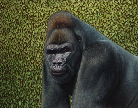 Framed Gorilla With A Hedge Print
