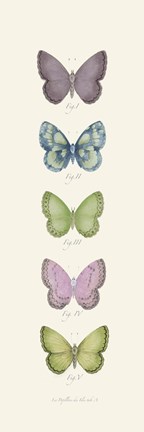 Framed Jardin des Papillons I Print
