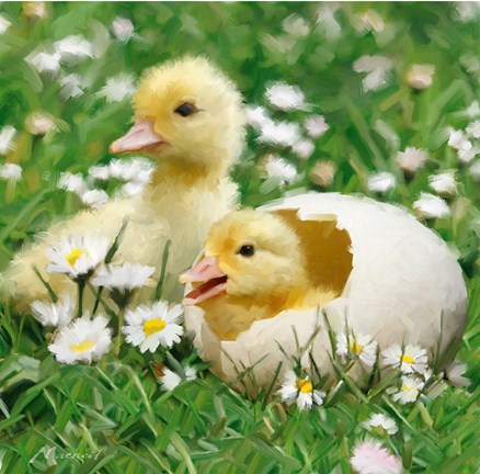 Framed Easter Chicks 1 Print
