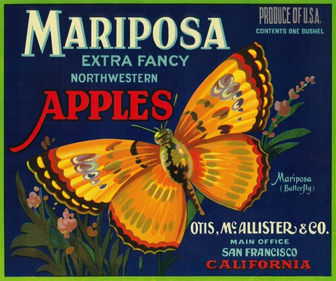 Framed Mariposa Apples Butterfly Ad Print
