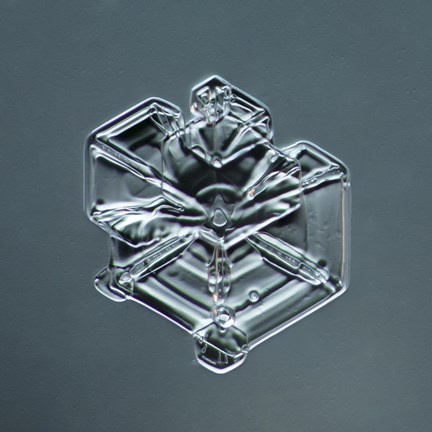 Framed Hexagonal Plate Snowflake 003.2.9.2014.1 Print