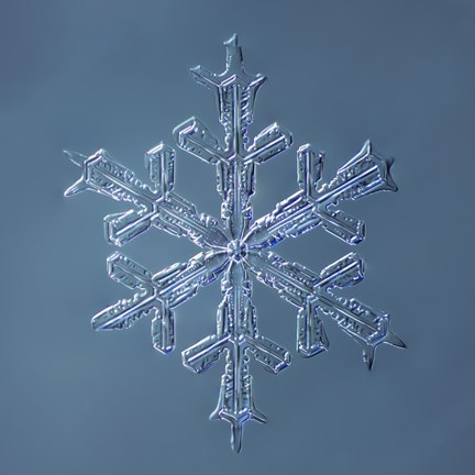 Framed Stellar Dendrite Snowflake 001.2.16.2014 Print