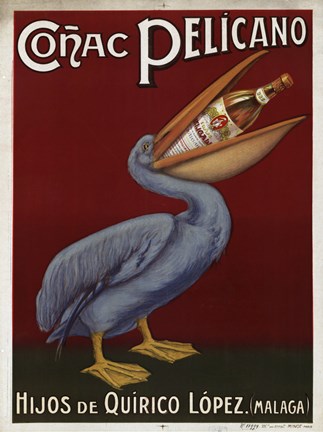 Framed Pelicano Print