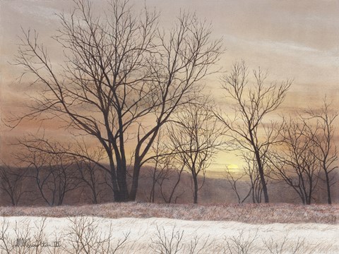Framed Silent Sunset Print