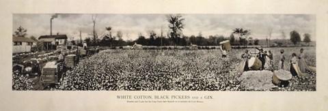 Framed Picking Cotton in GA 1915 Print