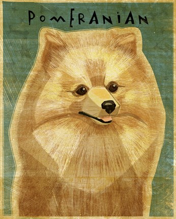 Framed Pomeranian Print