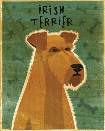 Framed Irish Terrier Print