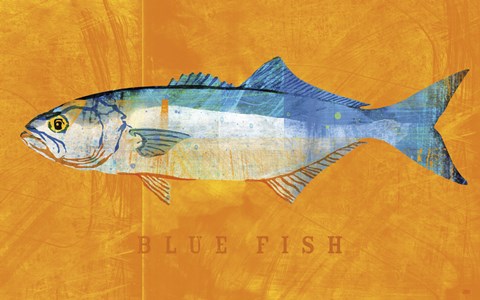 Framed Bluefish Print