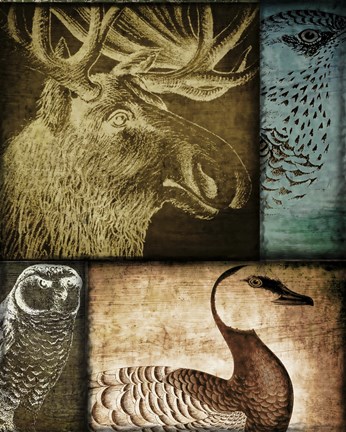 Framed Hunting Season III Print