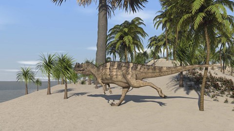 Framed Ceratosaurus Running Print