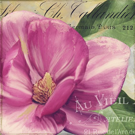 Framed Pink Magnolia II Print