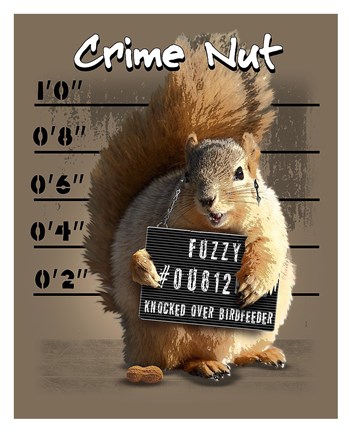 Framed Crime Nut Print