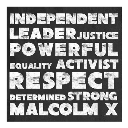 Framed Respect Malcolm X Print