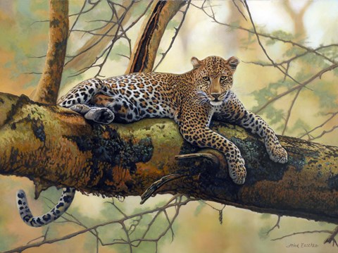 Framed African Leopard Print
