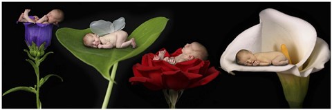 Framed Babies In Bloom Banner Print