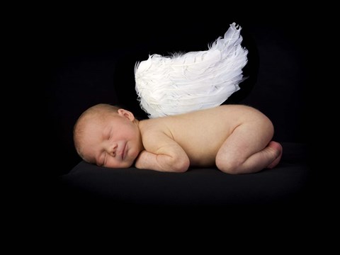 Framed Baby In Feathered Wings Print