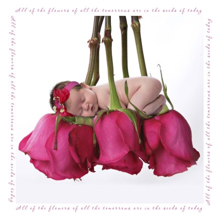 Framed Tripp Baby On Roses Print
