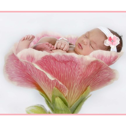 Framed Baby In Pink Bloom Print
