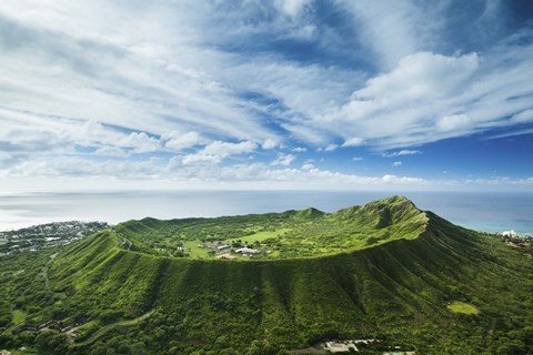 Framed Ultra Green Diamond Head Print