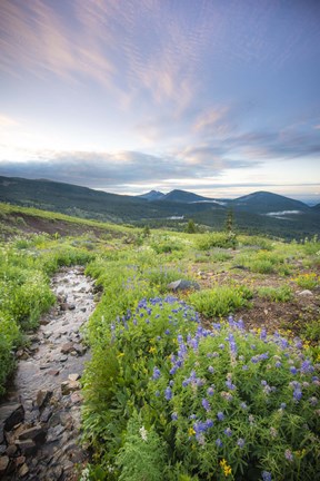 Framed Crested Butte Stream Print