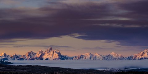 Framed Above the Tetons Print