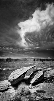 Framed Desert Mood Print