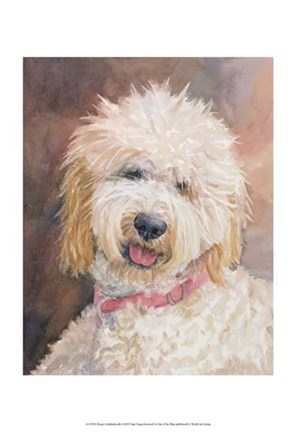 Framed Honey Goldendoodle Print