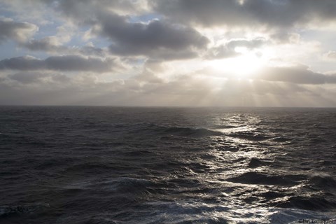 Framed Morning On The North Sea Print