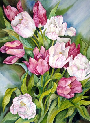 Framed Light Pink And Dark Tulips Print
