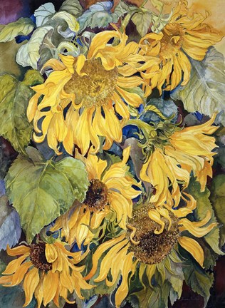 Framed Cascading Sunflowers Print