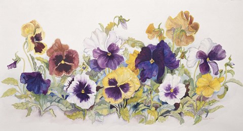 Framed Pansies&#39; Faces Print