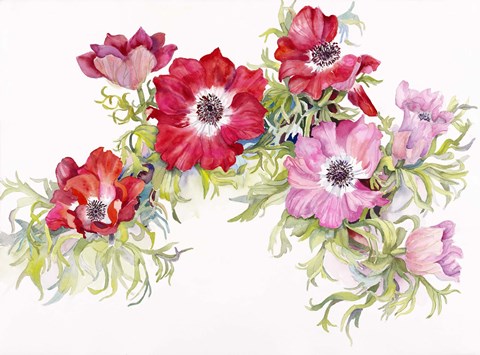 Framed Red Anemonies Print