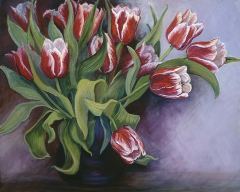 Framed White Tipped Red Tulips Print