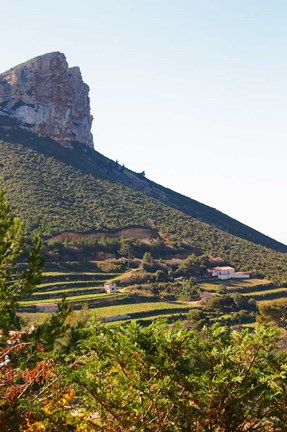 Framed Cassis Cliff, Sea and Vineyards on the Slope Print