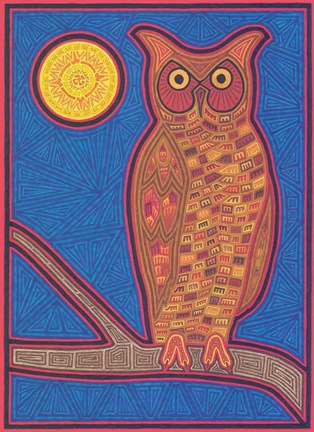 Framed Large Owl Print