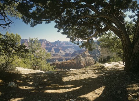 Framed Grand Canyon D Print