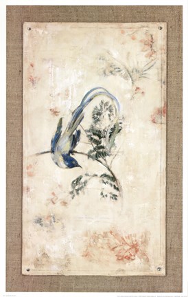Framed Asian Paradise - Flycatcher Print