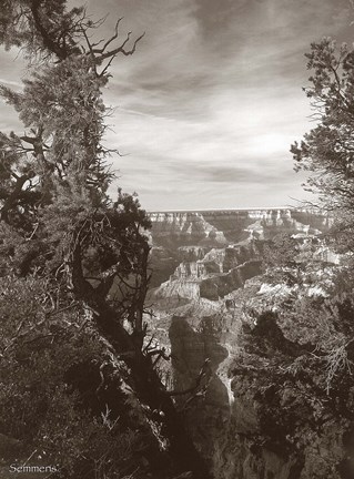 Framed Sepia Grand Canyon 2 Print