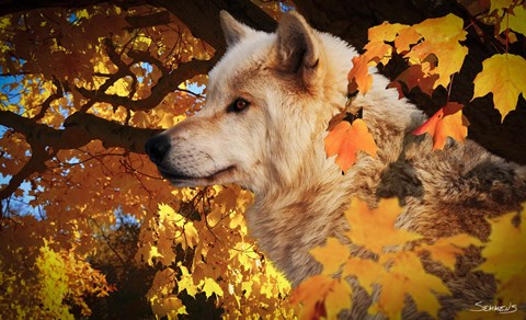 Framed Autumn Leaves and Wolf Print