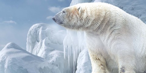 Framed Arctic Frost Bear Print
