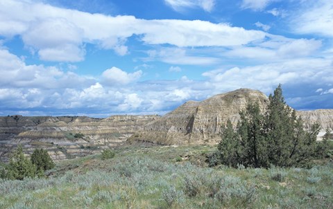 Framed Theodore Roosevelt National Park 4 Print