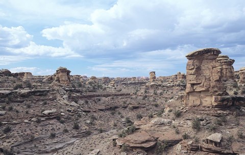 Framed Canyonland 3 Print